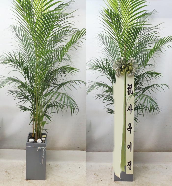 ����ȭ�� �Ʒ�ī����