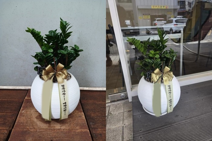 ����������