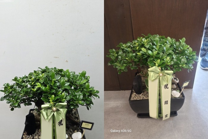 �λ���ٺ���