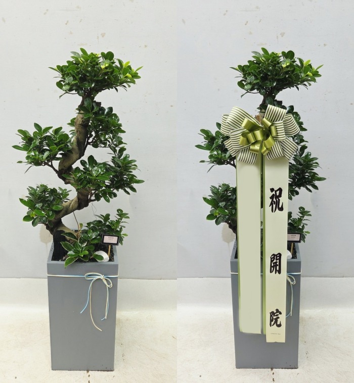 ����ȭ�� �����������