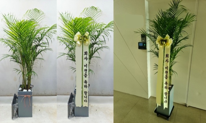 ����ȭ�� �Ʒ�ī����